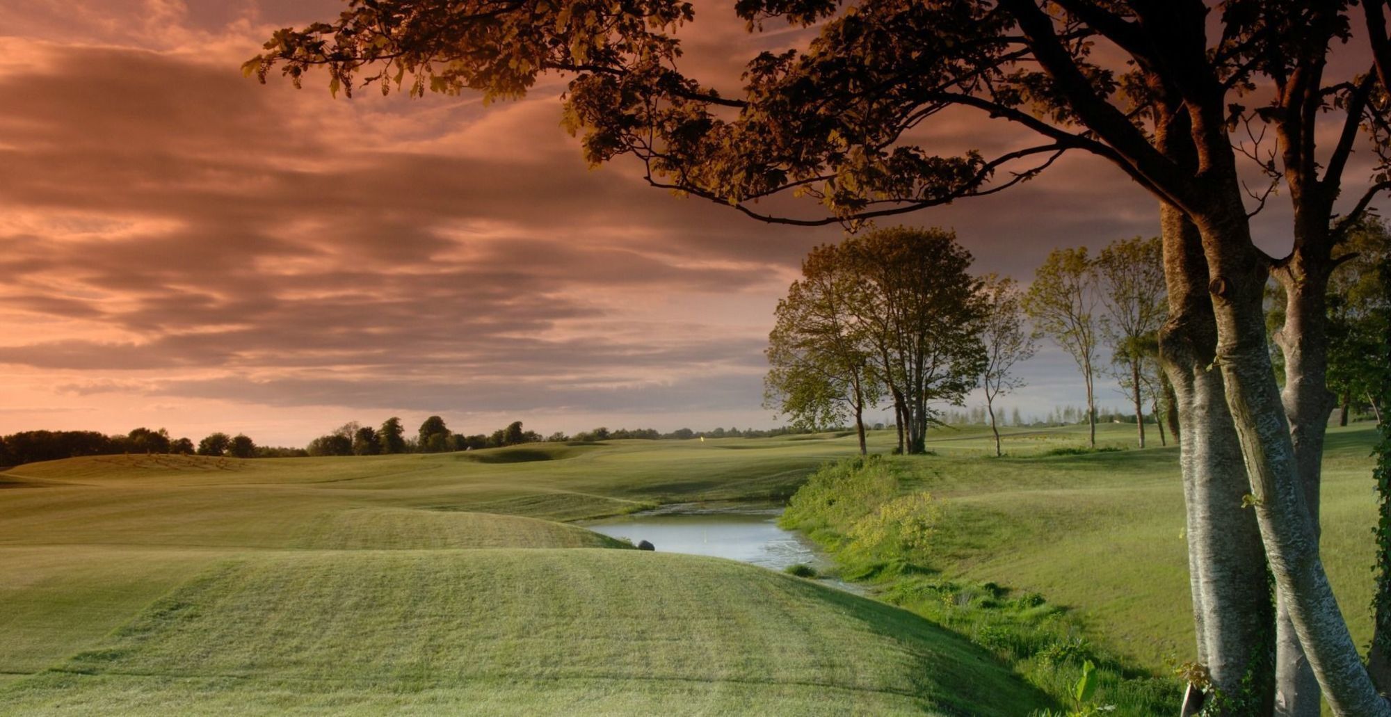 โรงแรมมอยวัลเล่ย์โฮเท็ลแอนด์กอล์ฟรีสอร์ท Moyvalley ภายนอก รูปภาพ